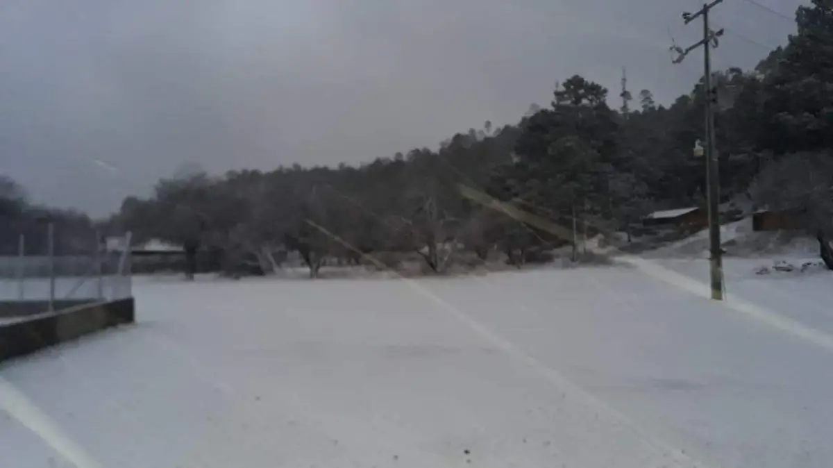 nieve p