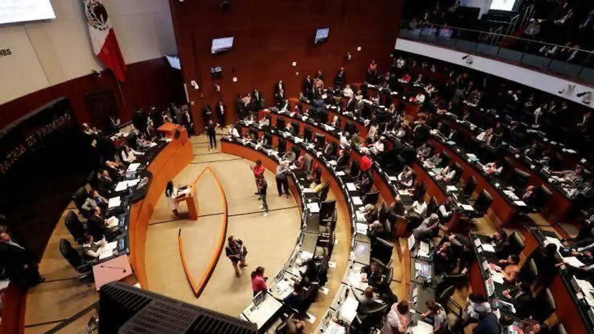 senado