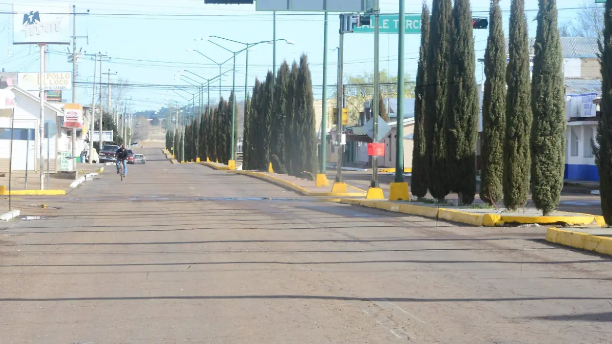 avenidas sin vehiculos en gomez farias  (1)