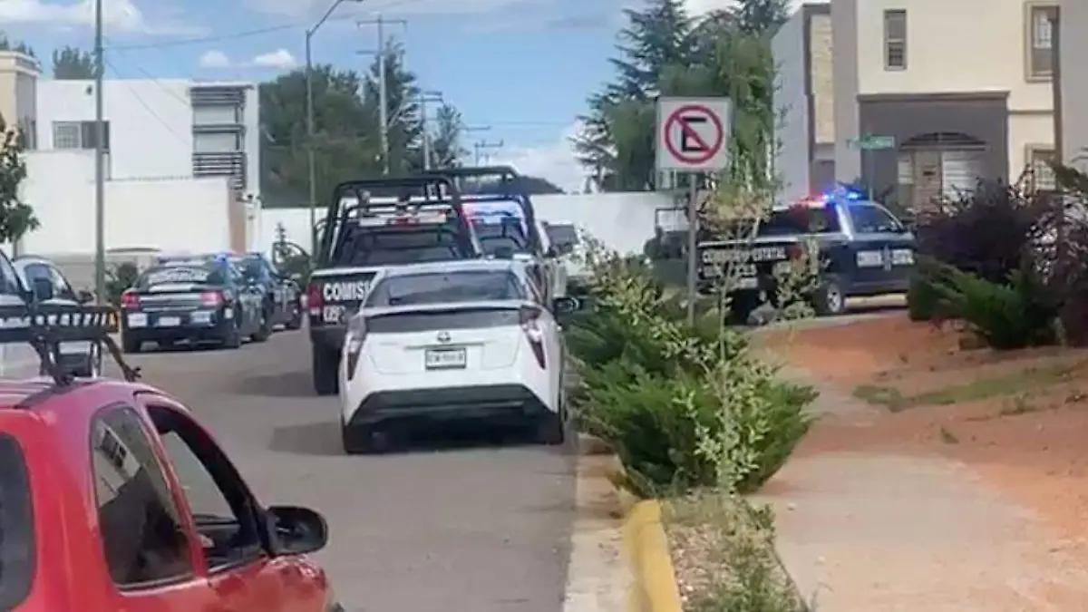 poli cuau