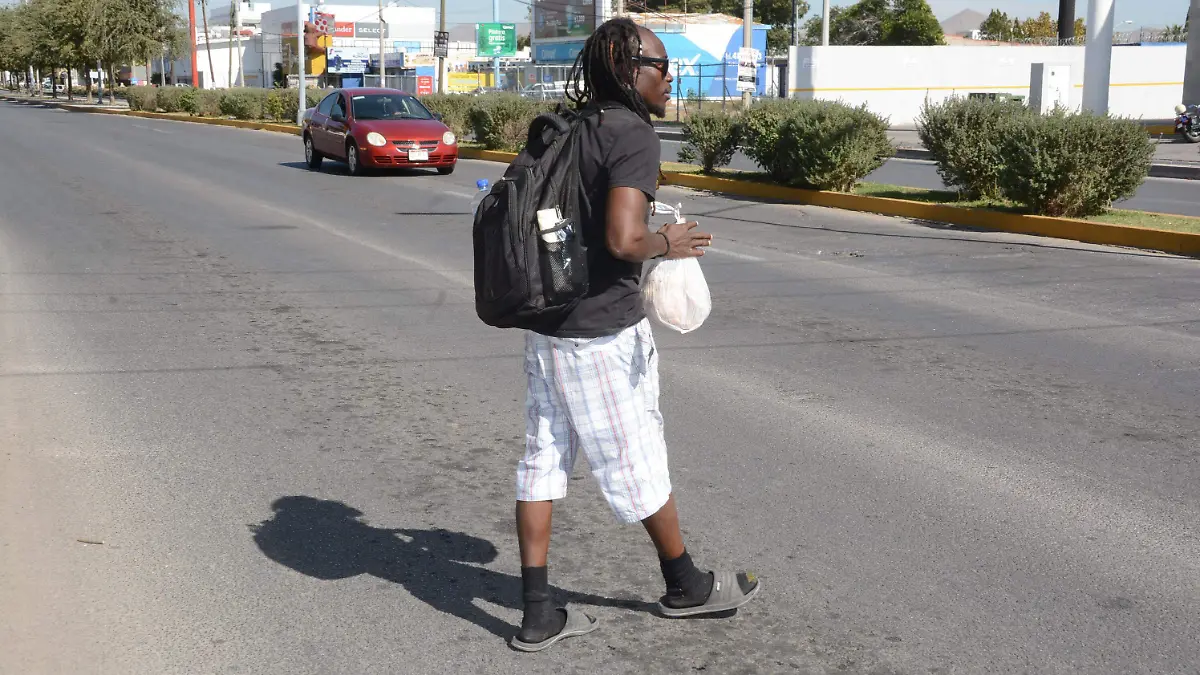 Migrantes (2)
