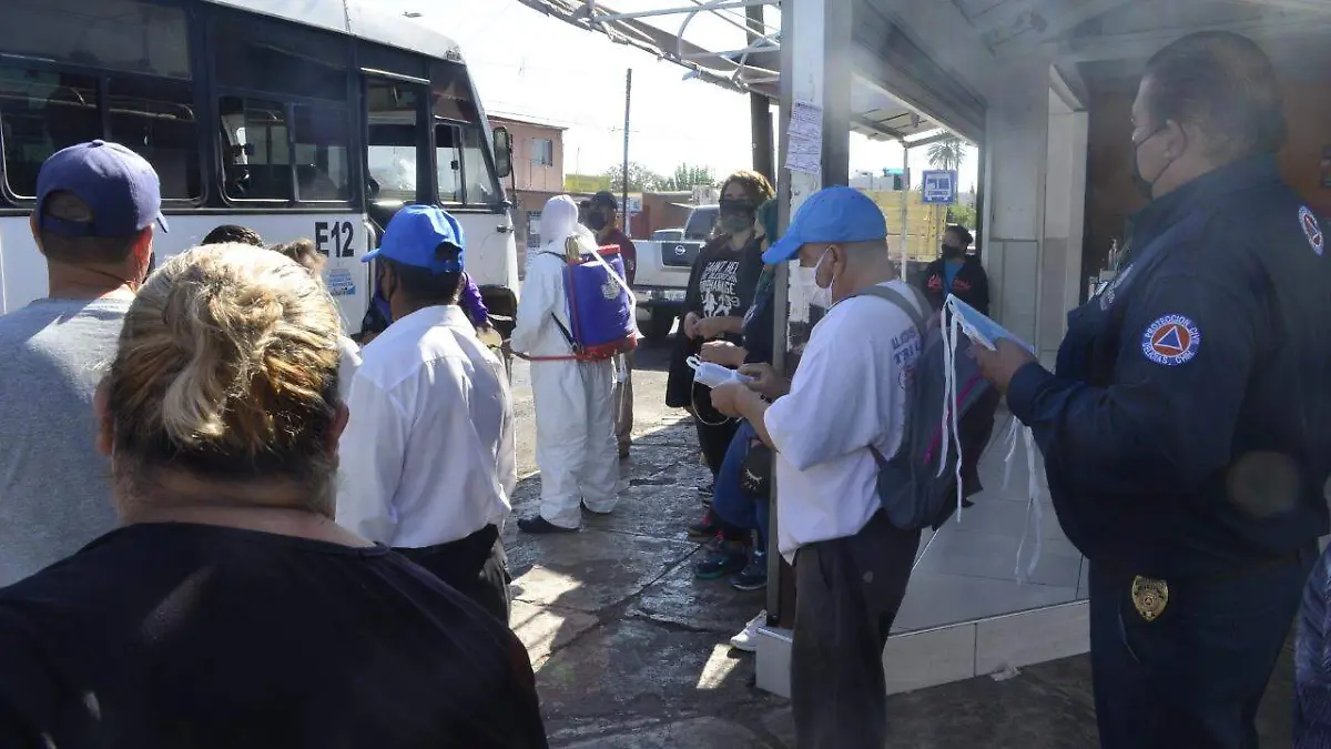 inspeccion sanitaria
