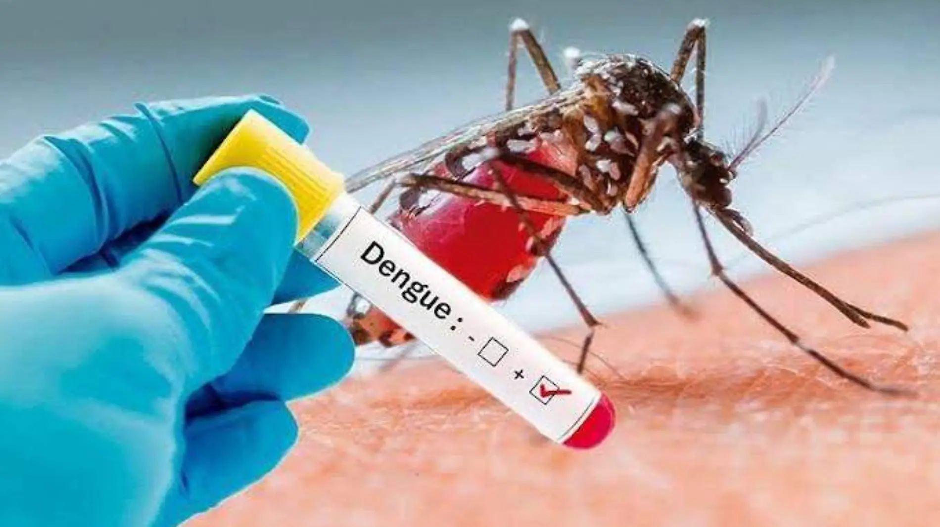 dengue