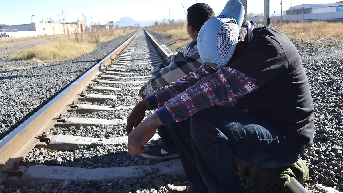 Migrantes (17)