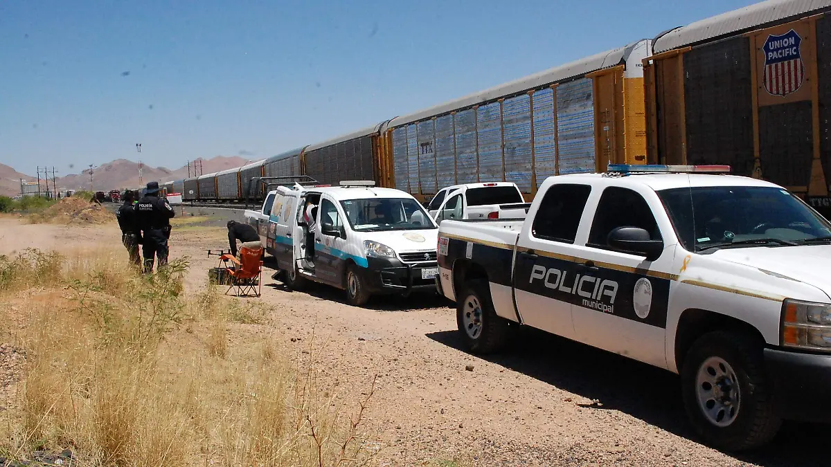 operativo de rastreo aire y tierra (15)