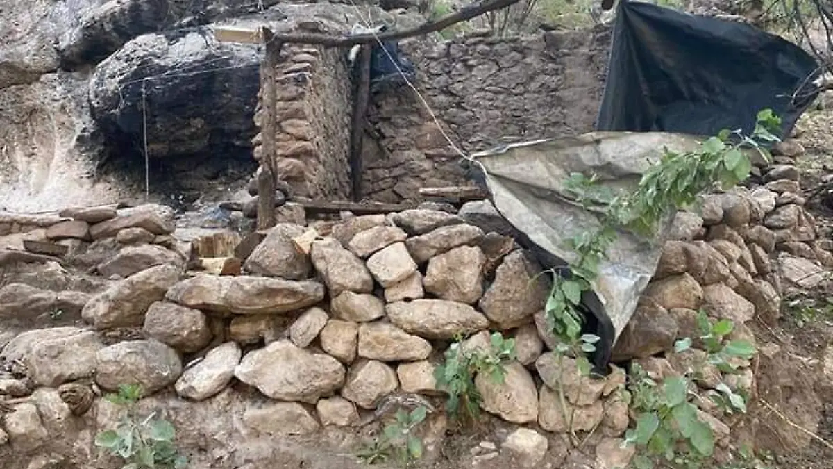 campamento de marihuana