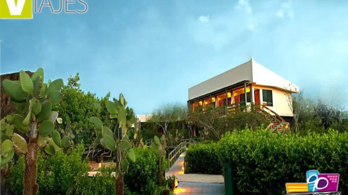 baner-finchbay-eco-hotel-copia