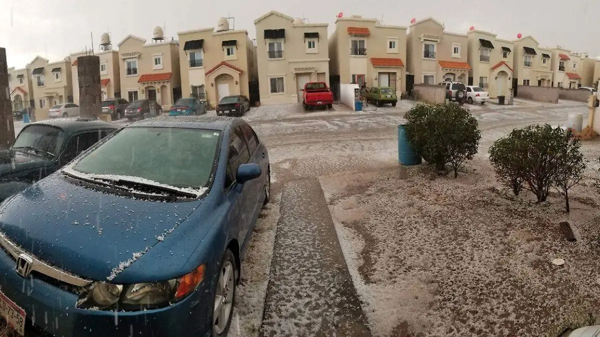 WhatsApp Image 2019-01-11 at 7.28.02 PM