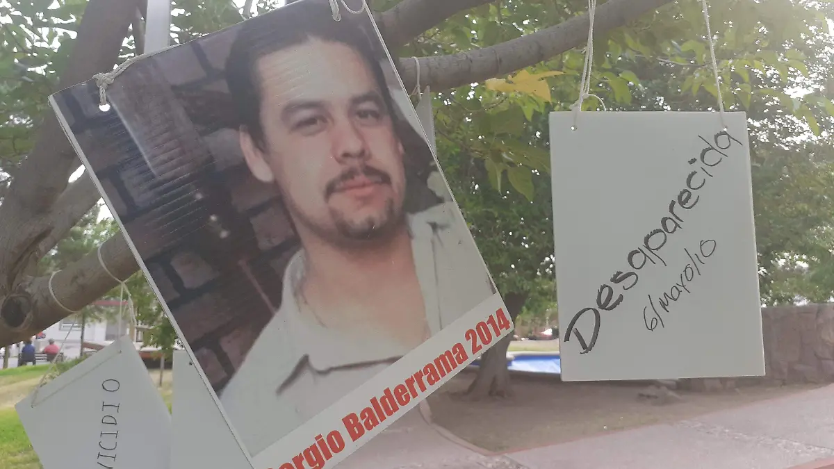 fotos de desaparecidas en arbol de PARQUE (9)