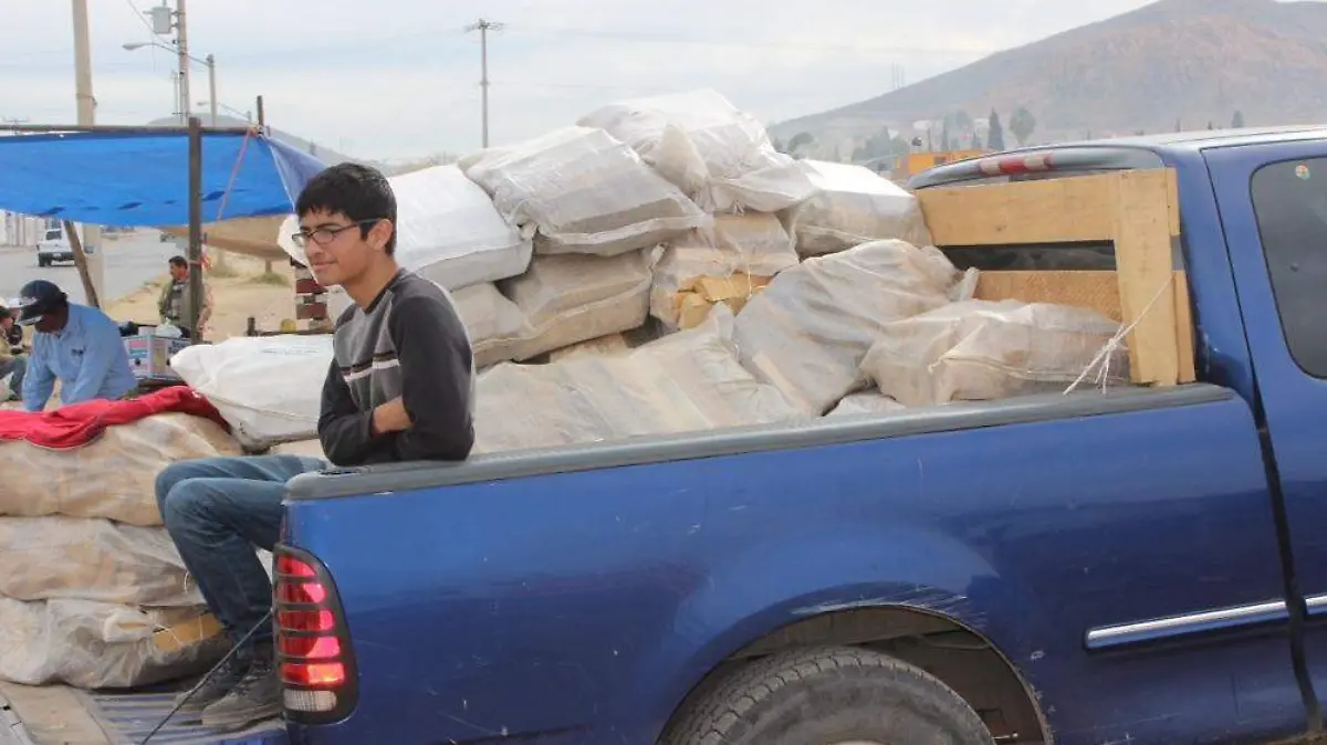 Ante un sin numero de vendedores No se puede vender leña en las calles%2c advierte PROFEPA