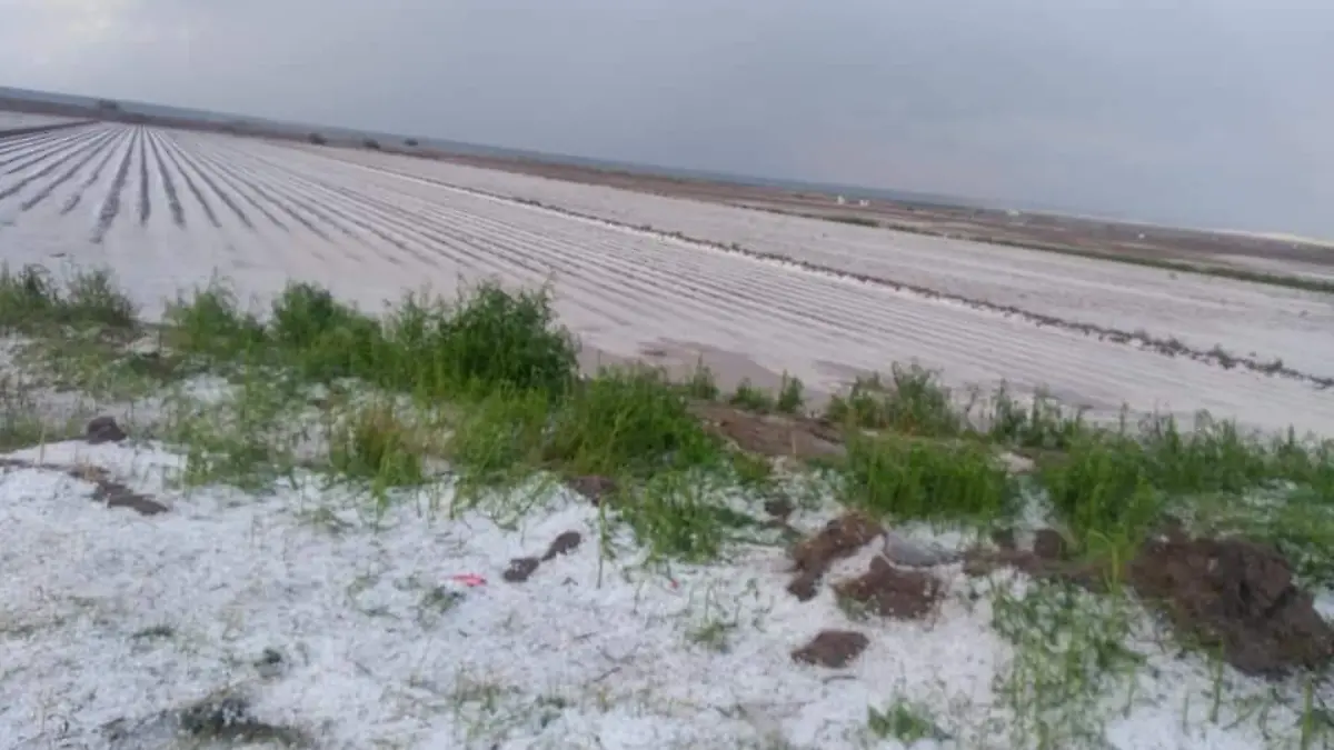 daños por granizo