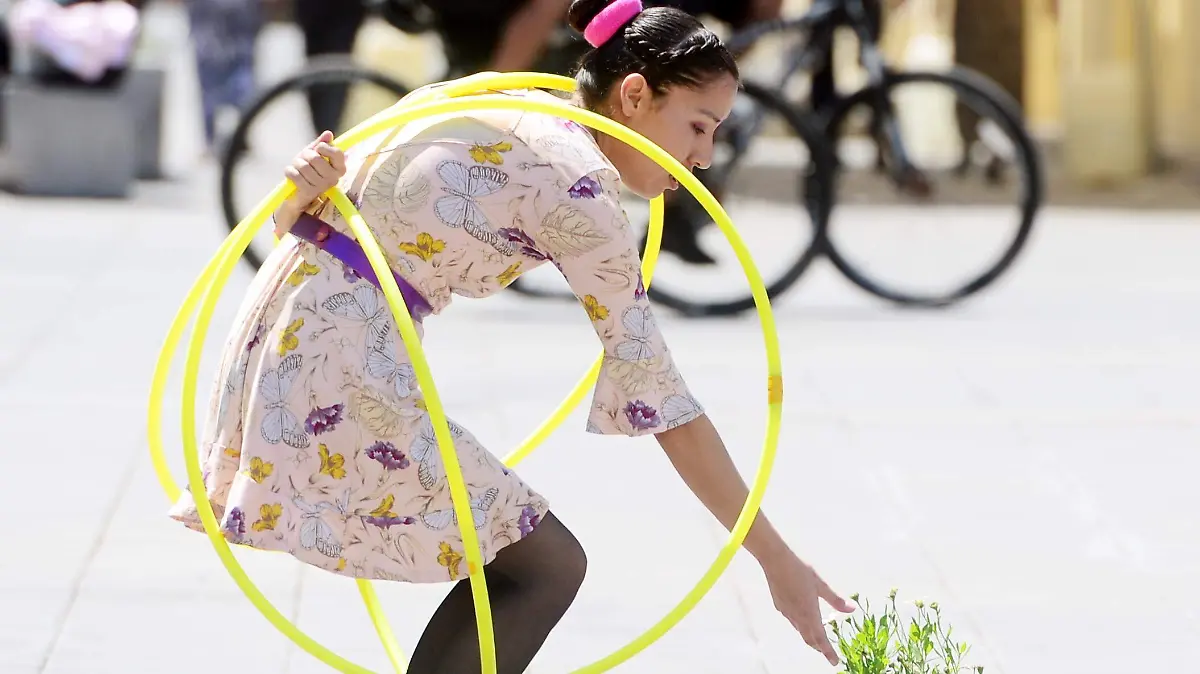 Alin ruiz castro (174)