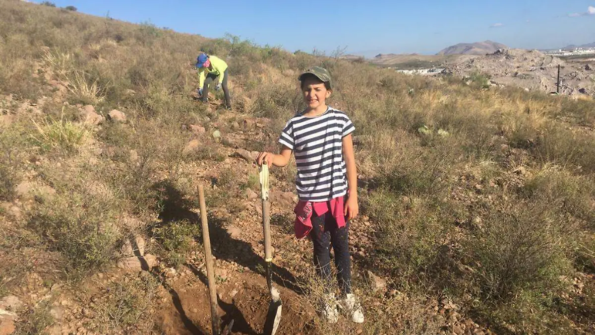 Reforestando (2)