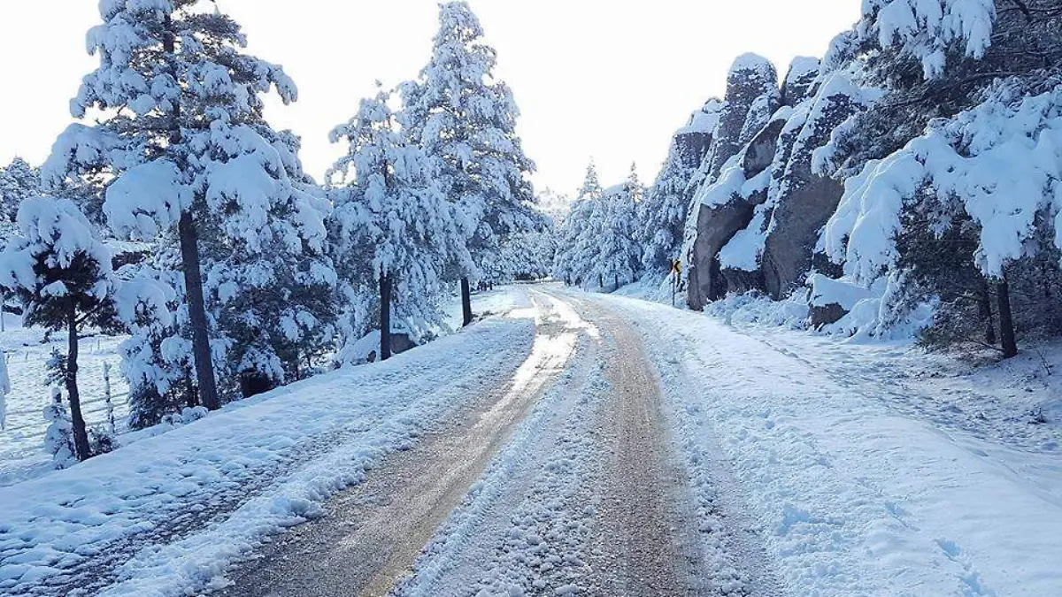 carretera_Creel_Irvin_Chaparro