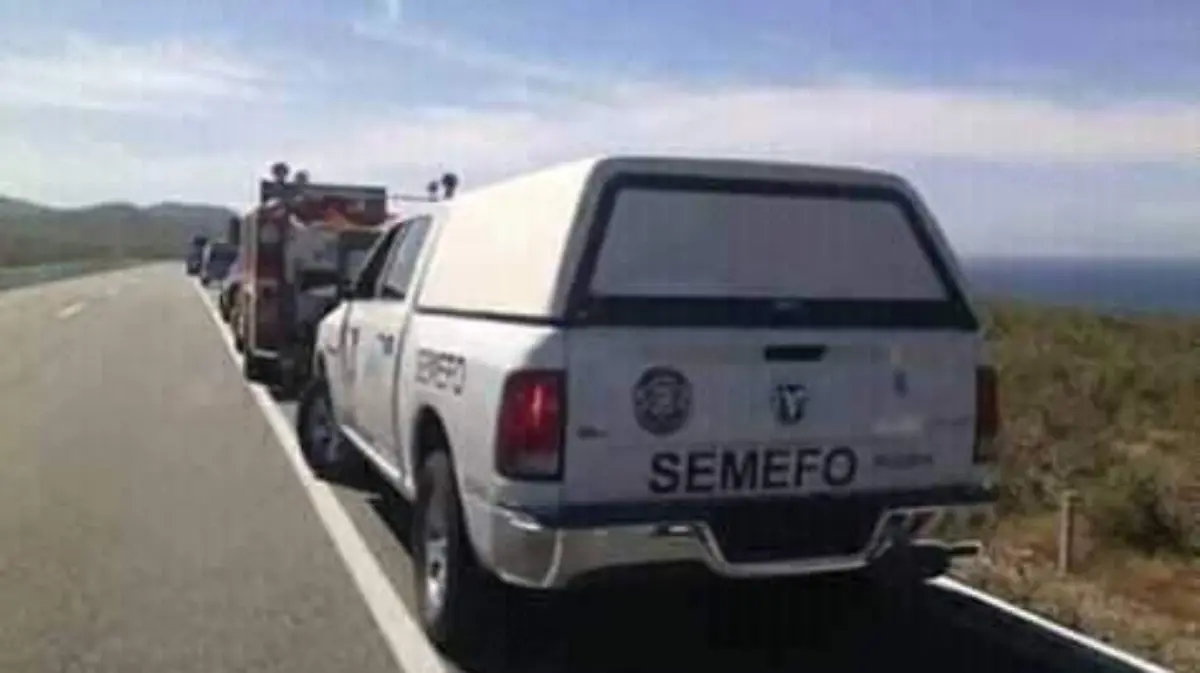semefo