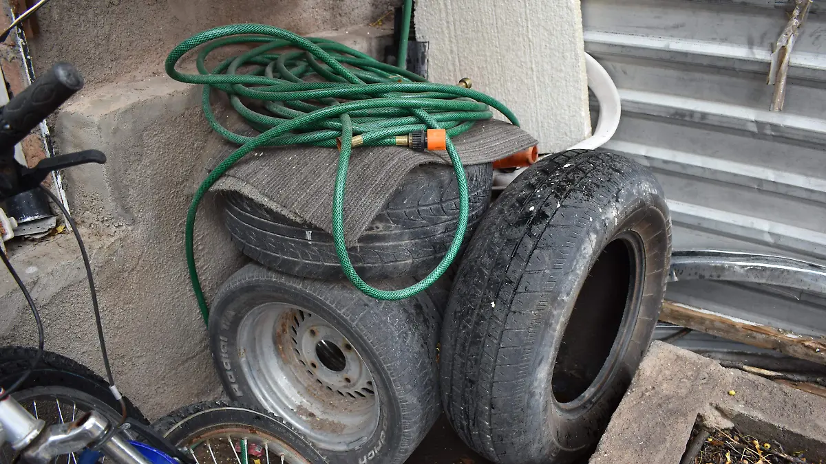 LLANTAS Y AMONTONADEROS PROVOCAN DENGUE NORA PALOMA  (6)