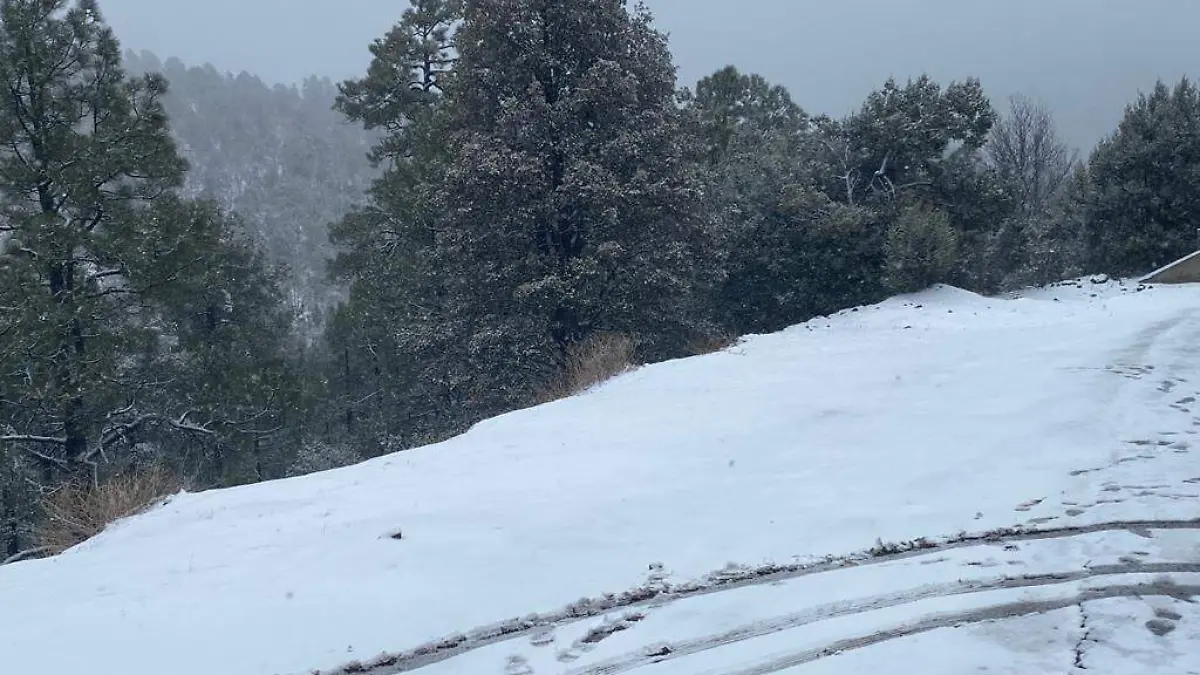 nieveeee2