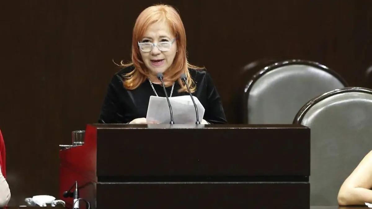 rosario-piedra-ibarra-ariana-perez_0_42_958_596