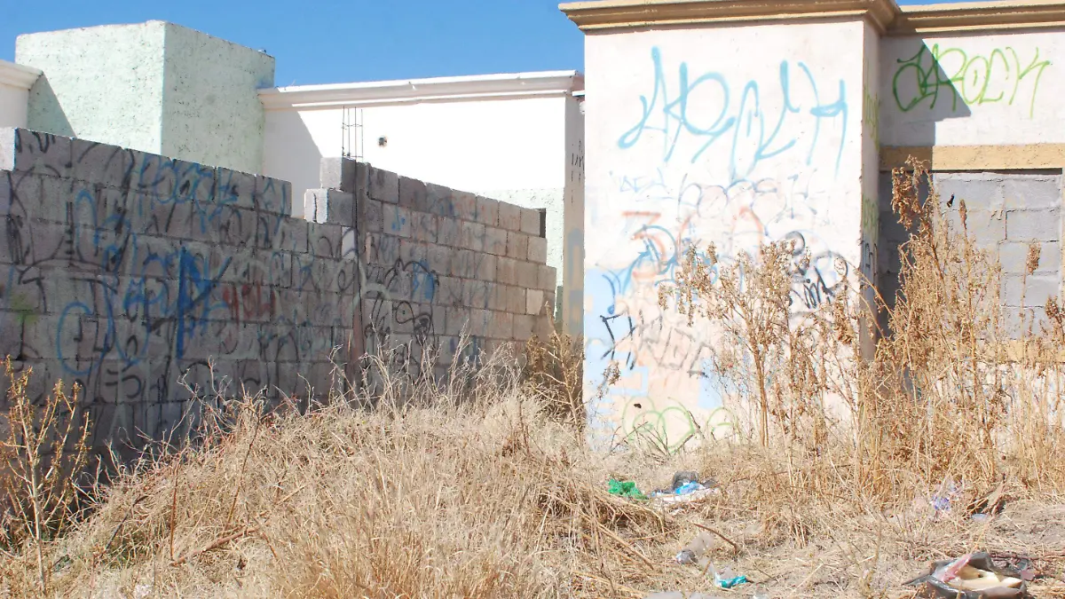 Paredes y casas abandonadas Punta Oriente (13)