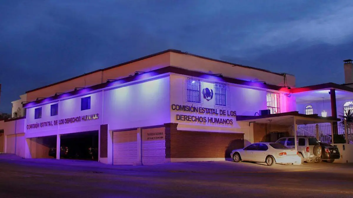 Derechos Humanos morado