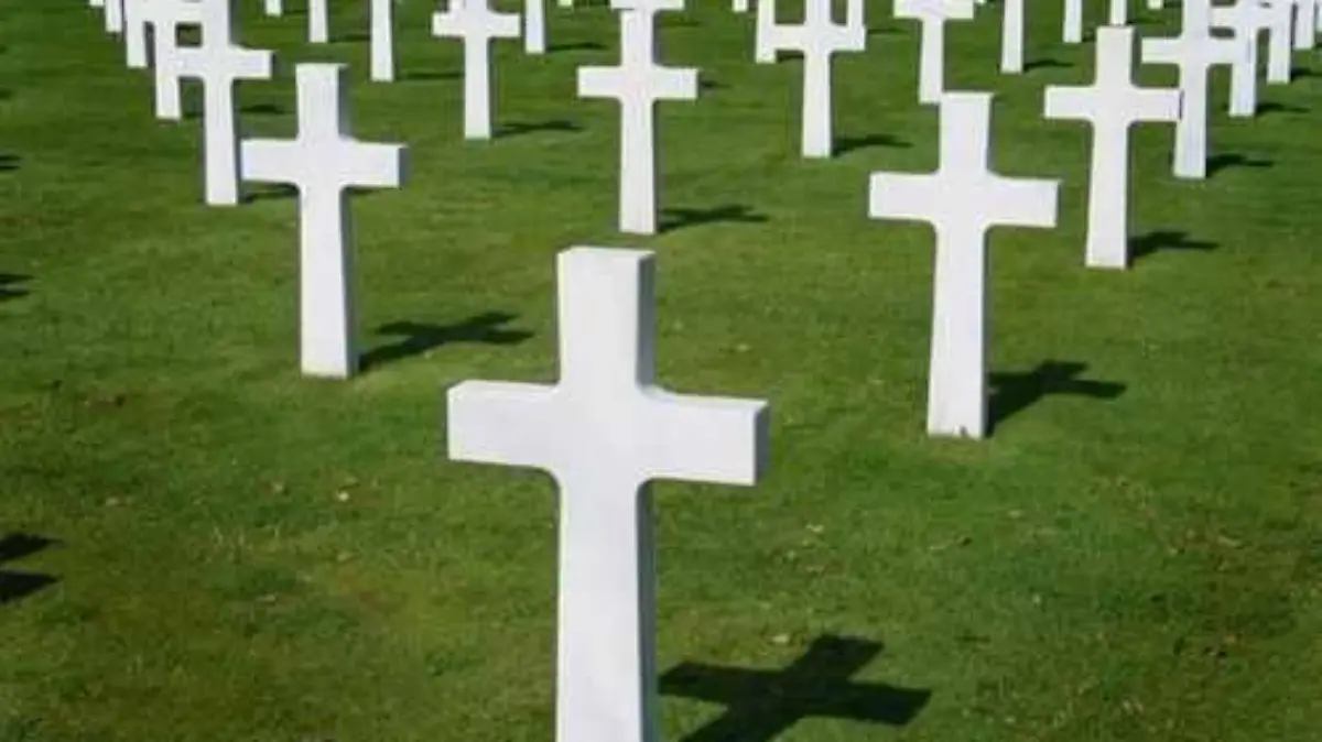 13374-MLM3313944257_102012-O