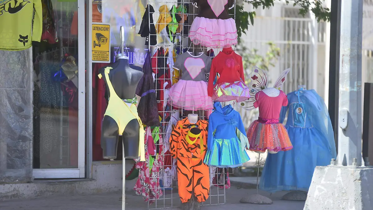 venta de disfraces de primavera  (2)