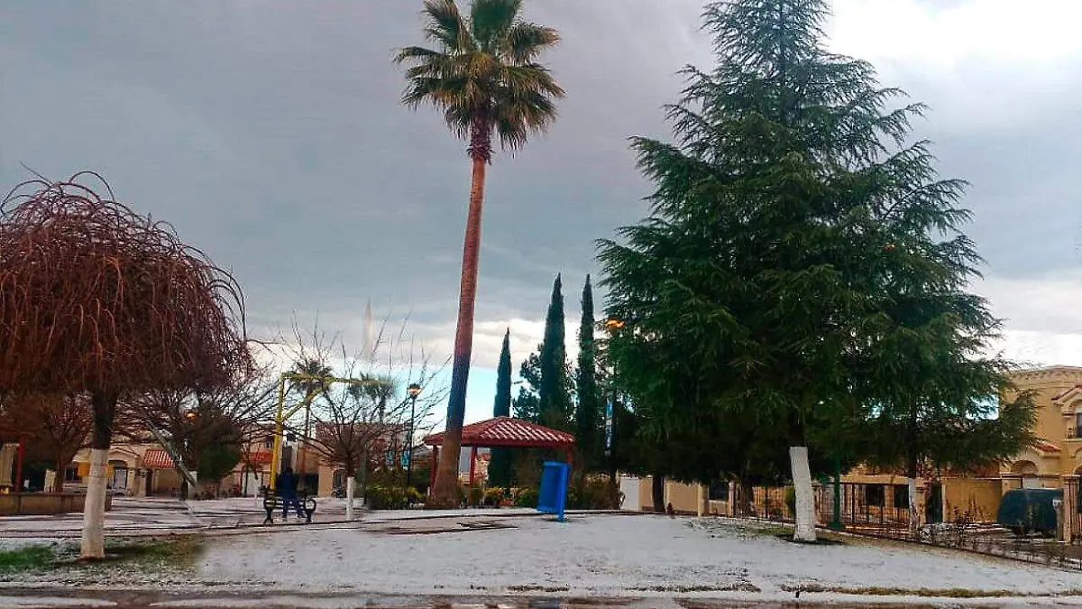 Image 2019-01-11 at 7.28.01 PM