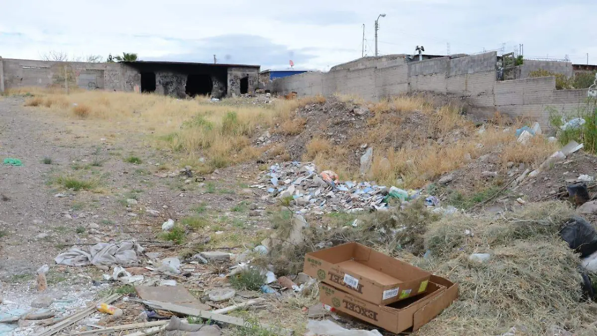 5aed2d39-84b3-437b-8ab3-8d18bf539f1b