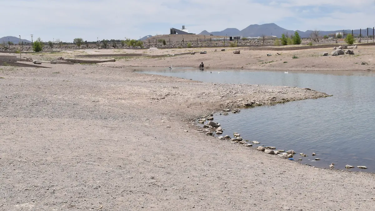 ALARMANTE EL BAJO NIVEL DE AGUA EN PRESAS DE CHIHUAHUA (1)