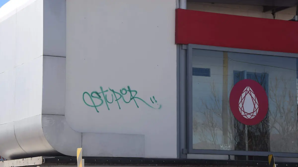 DEFECTOS VIVEBUS (4)