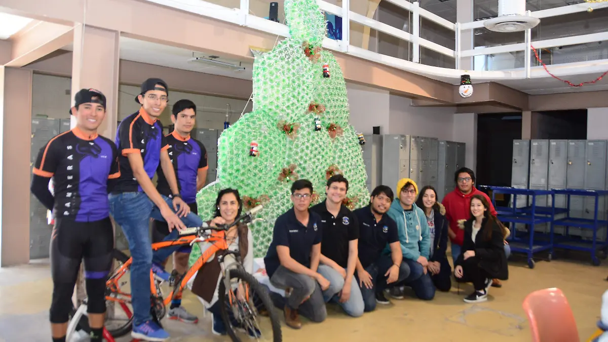 Arbol de navidad con pet reciclado tecnologico de chihuahua (27)