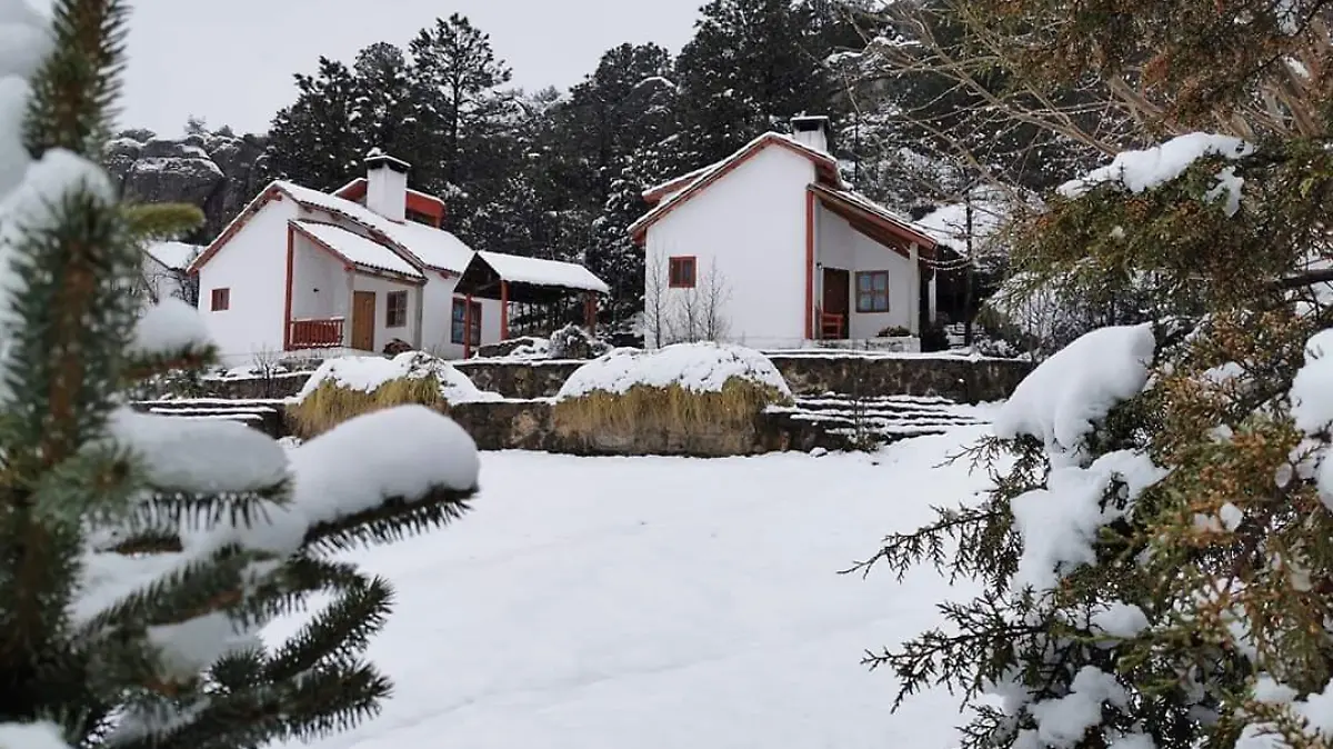 1bd9777b-f881-47c3-973e-7d7cda39adee