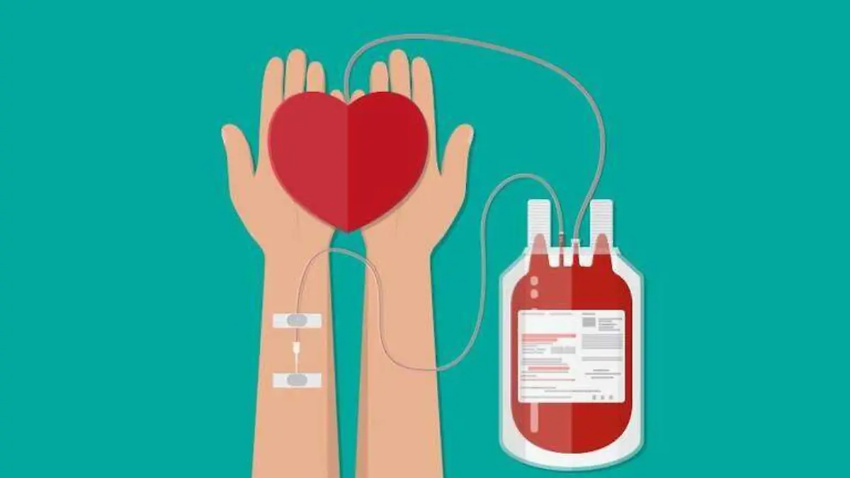 48987184_1960825400619763_6691940972839829504_o