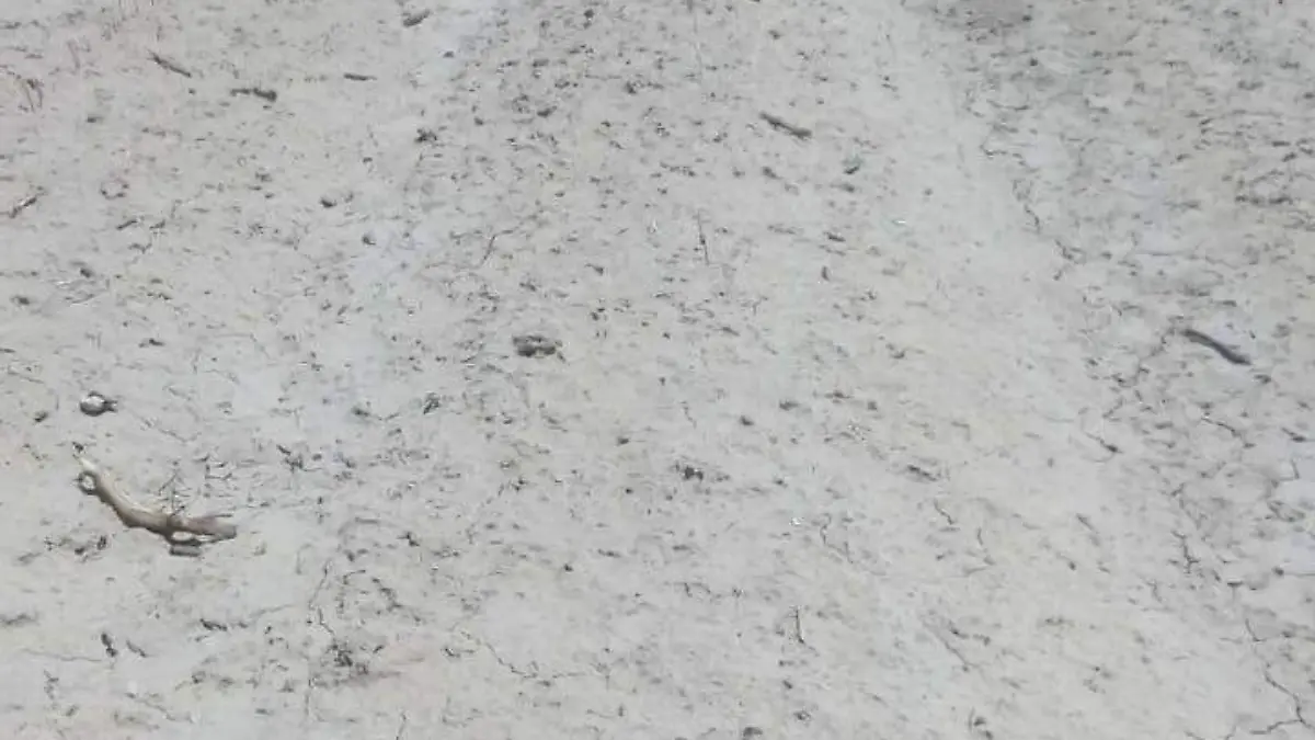 daños por granizo2