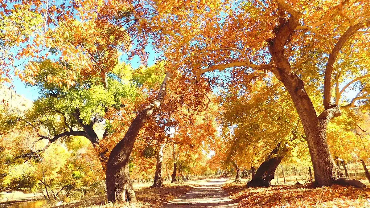 34849105_2040831486177503_5332871053888716800_o