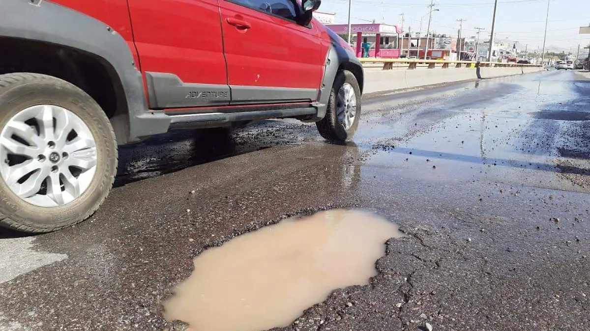 Bache