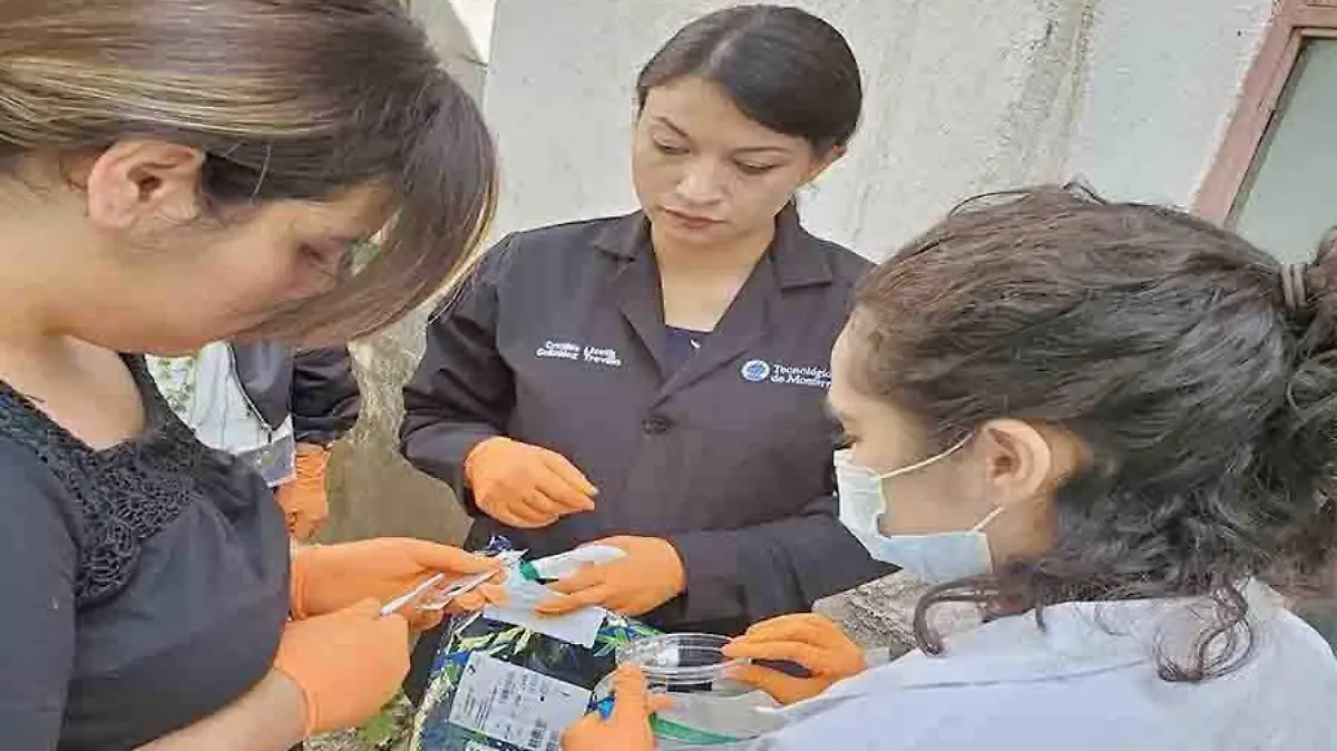alumnos tec de monterrey