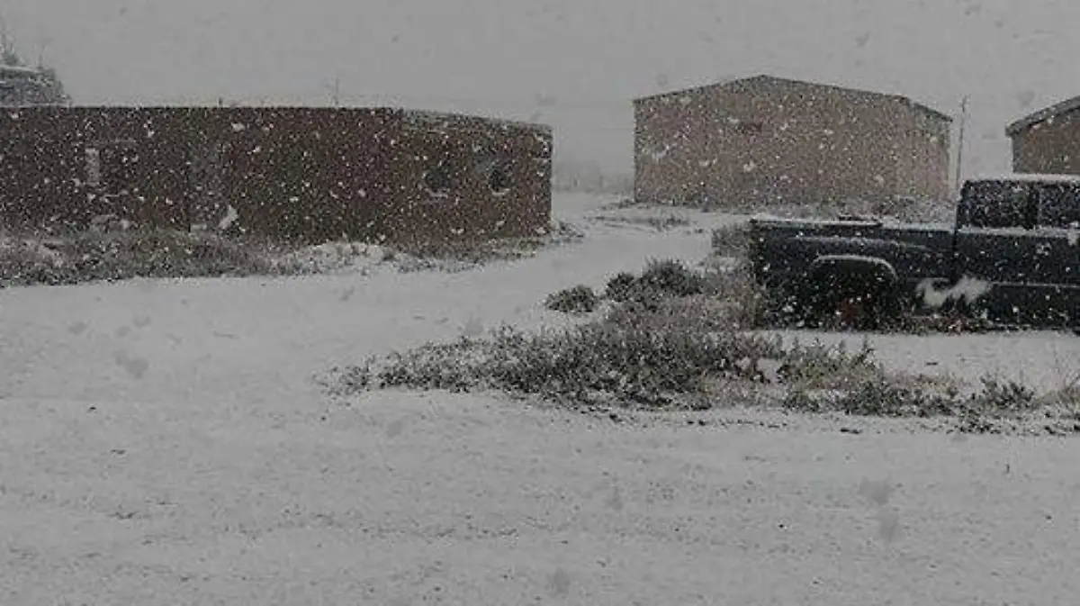 Image 2019-02-19 at 9.54.52 AM