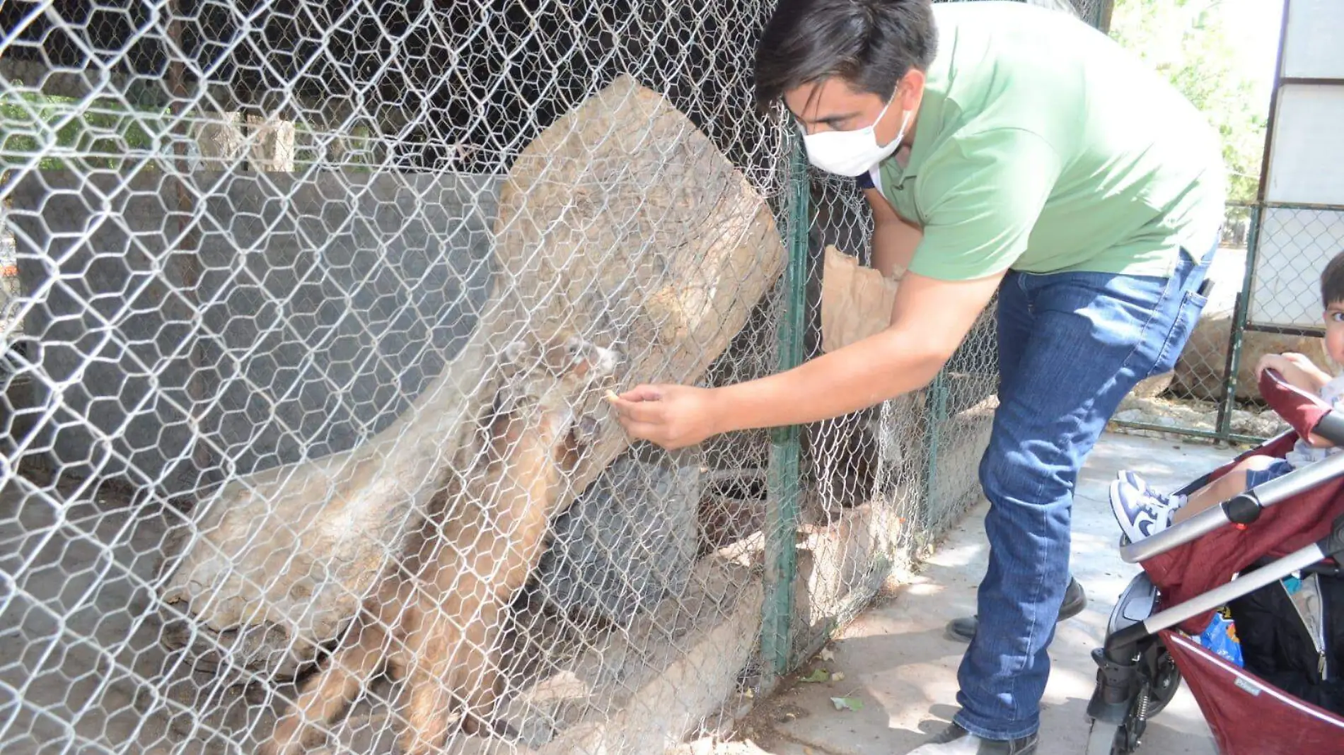 zoologicodechihuahua2