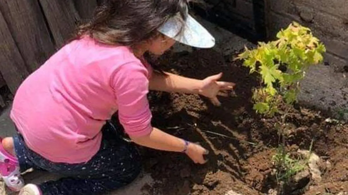 Eduardo 6 planta un arbol (3)