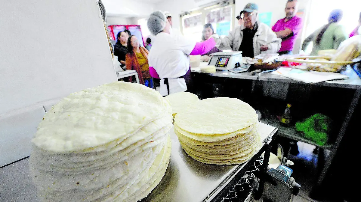 alza tortillas  (12)
