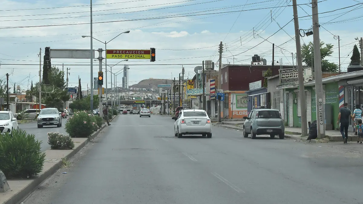 av j escutia sin rayas div de carriles nota paloma  (4)