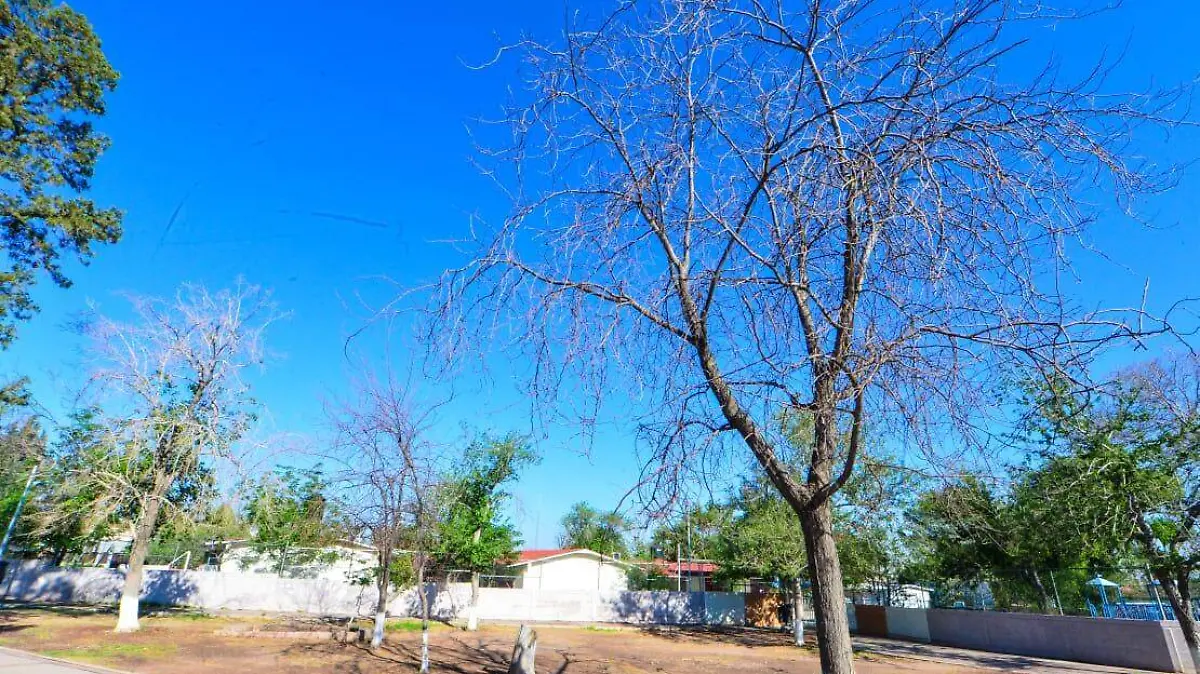 parqueurueta4