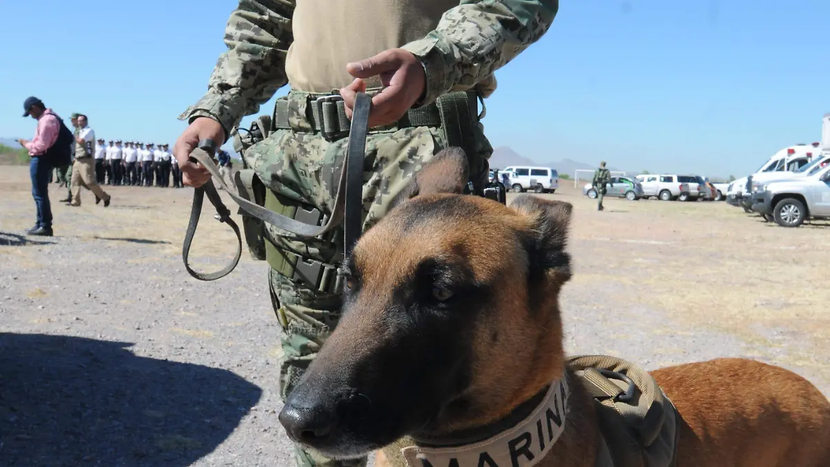 simulacro de bomba en un avion (18)
