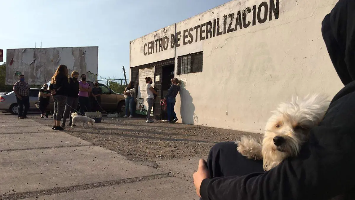 Centro de estirilizacion (1)
