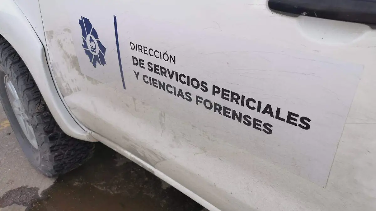 archivo