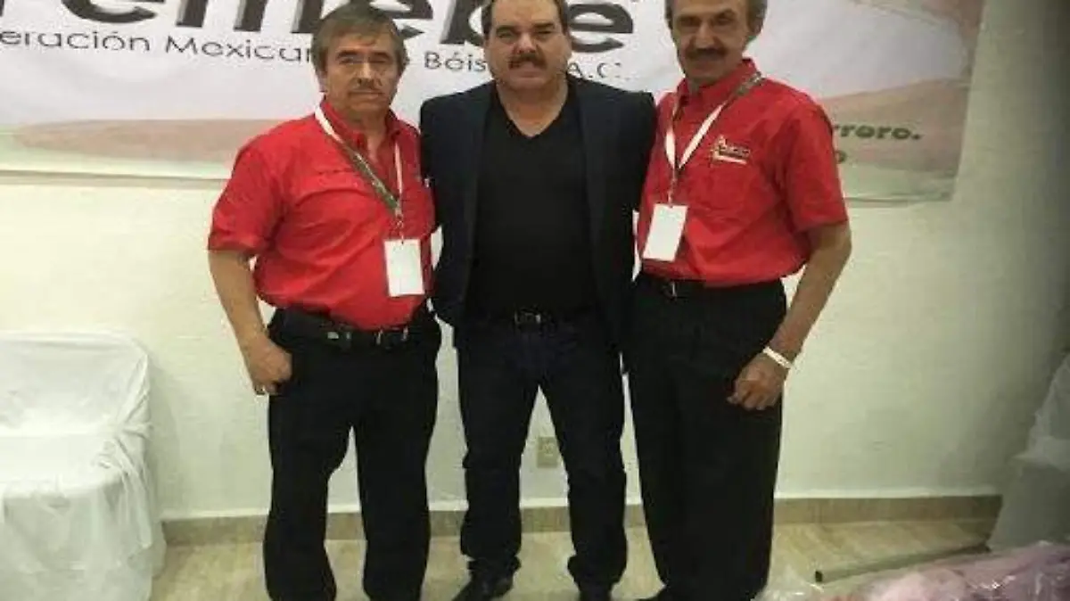 sanitizar