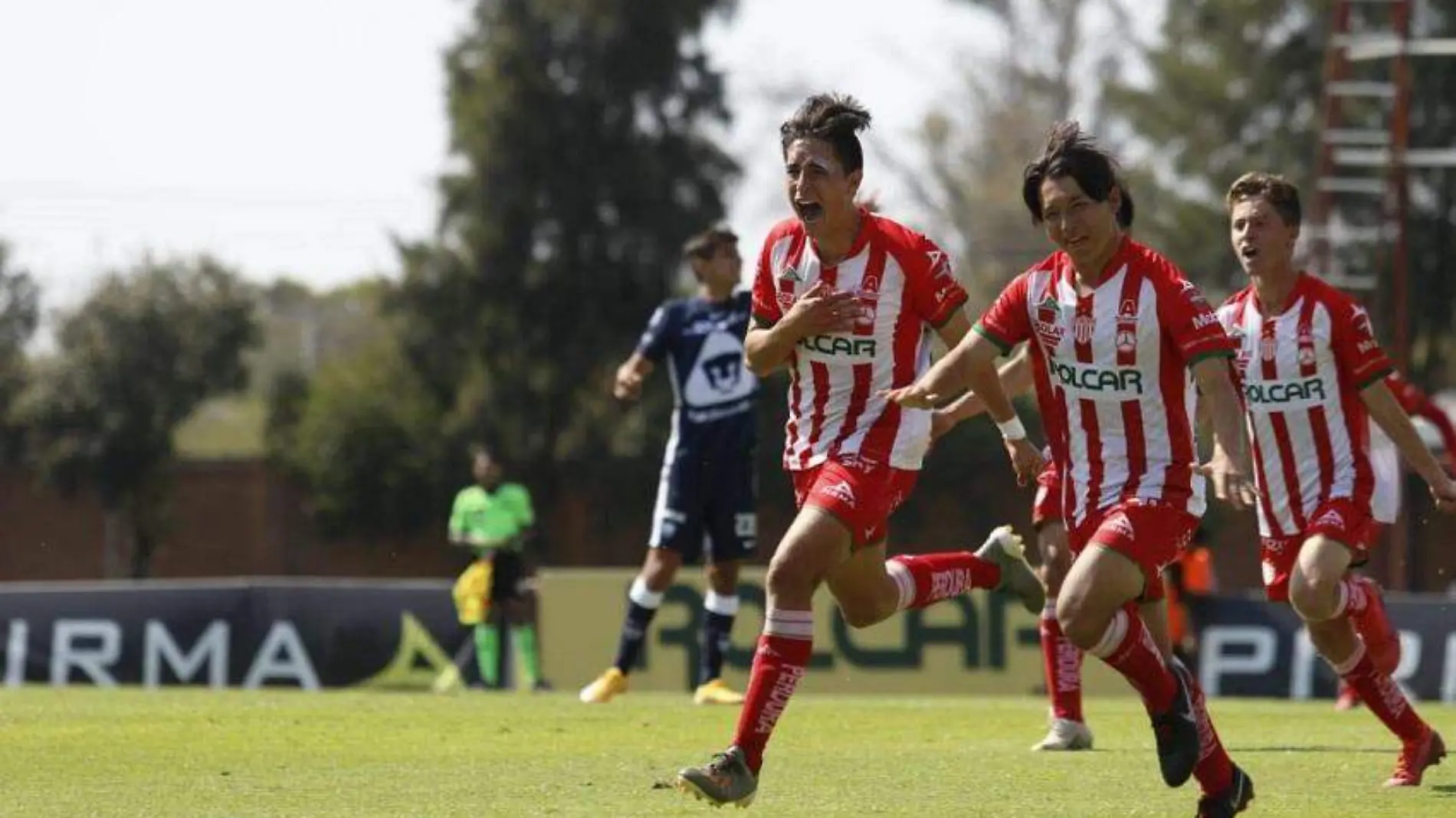 necaxa