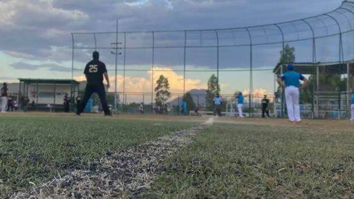 softbollento