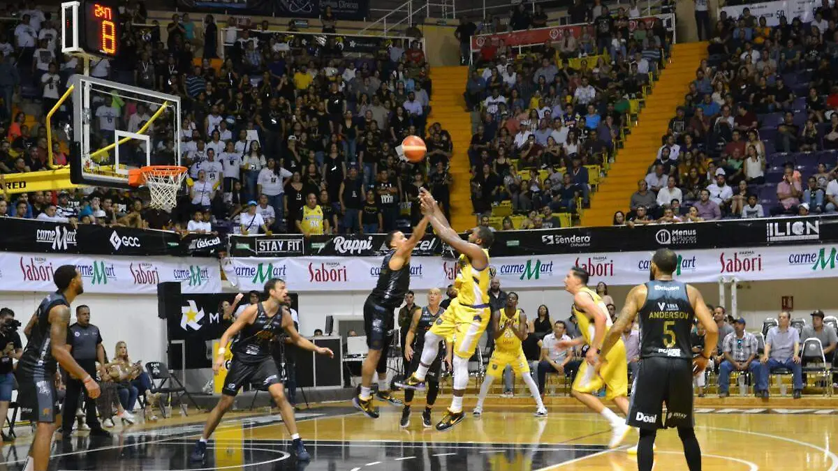 dorados